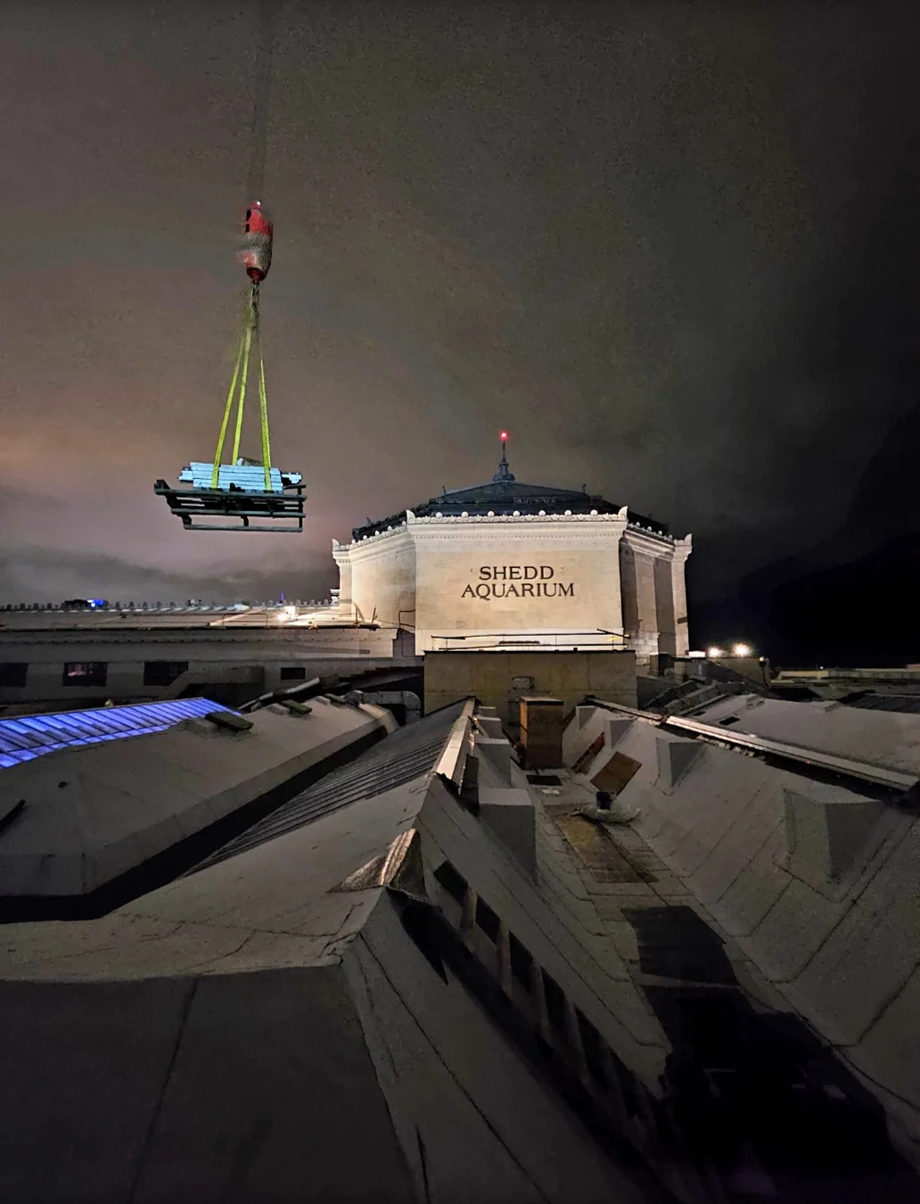 Shedd Aquarium Renovations field photo 1